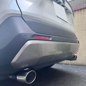 RAV4 MXAA54