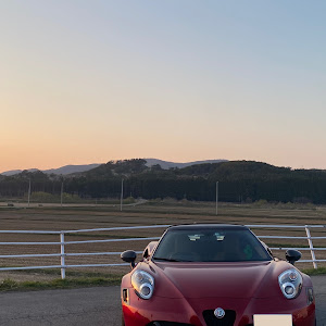 4C スパイダー 96018