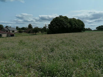 terrain à Dompierre (61)