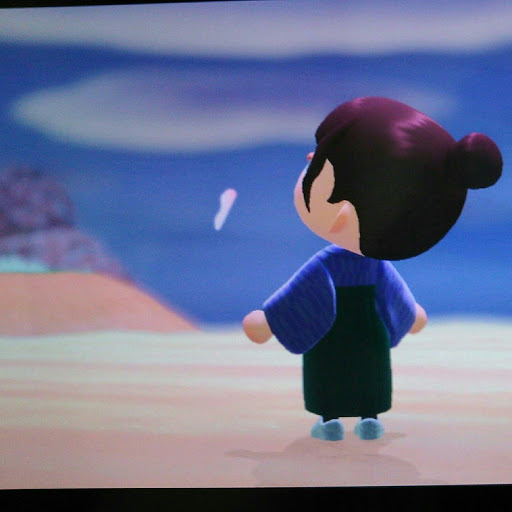 Rio_risu