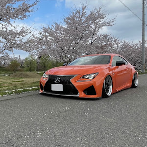 RC F USC10