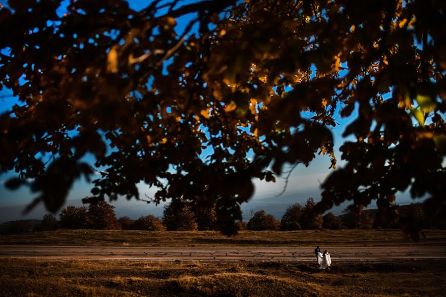 Wedding photographer Catalin Gogan (gogancatalin). Photo of 16 October 2019