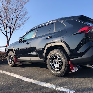 RAV4