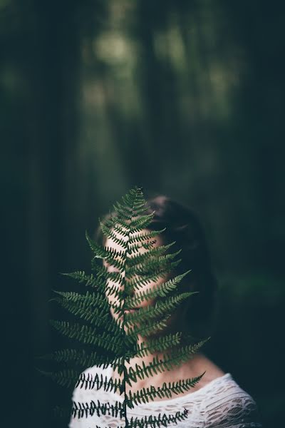 Fotógrafo de casamento Redijus Anikanovas (redijus). Foto de 1 de janeiro 2017