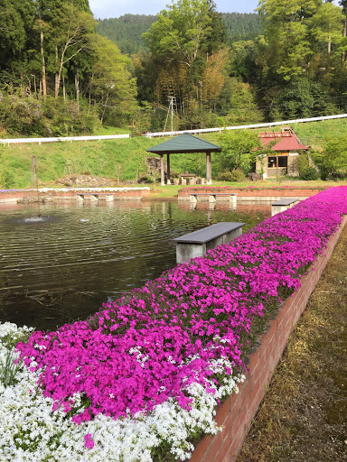 楠城ふるさと広場 親水広場