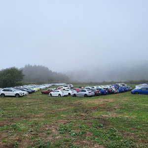 WRX S4 VAG