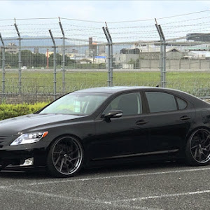 LS UVF45