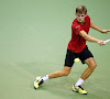 Nauwelijks wijzigingen op ATP-ranking, David Goffin status quo