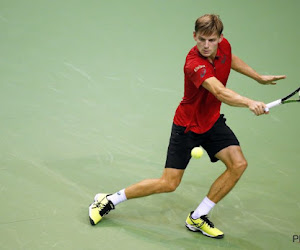 Nauwelijks wijzigingen op ATP-ranking, David Goffin status quo