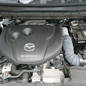 CX-8 KG2P