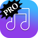 MP3 Music Player - PRO