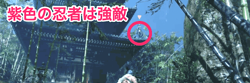 SEKIRO_三重の塔_孤影衆