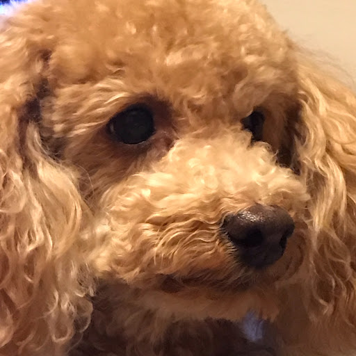 まっつんのプロフィール画像