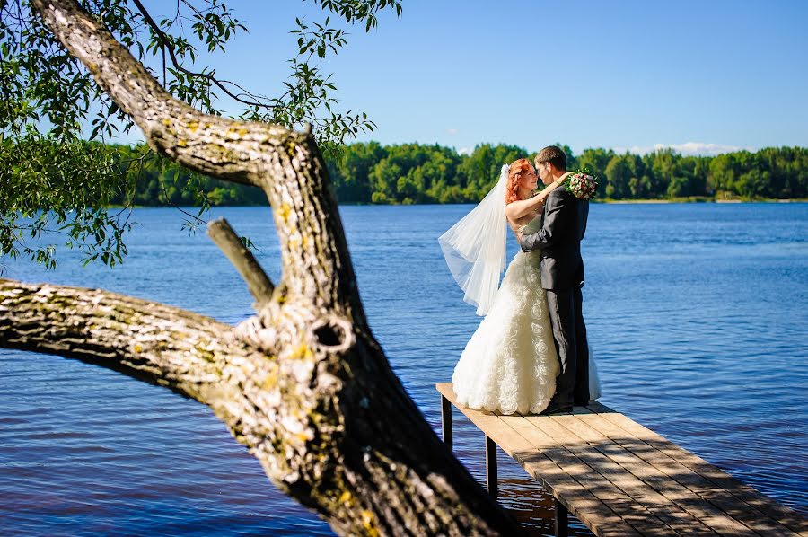 Fotografo di matrimoni Igor Rozhkov (photographer66). Foto del 25 gennaio 2014