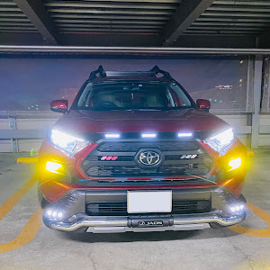 RAV4 MXAA54