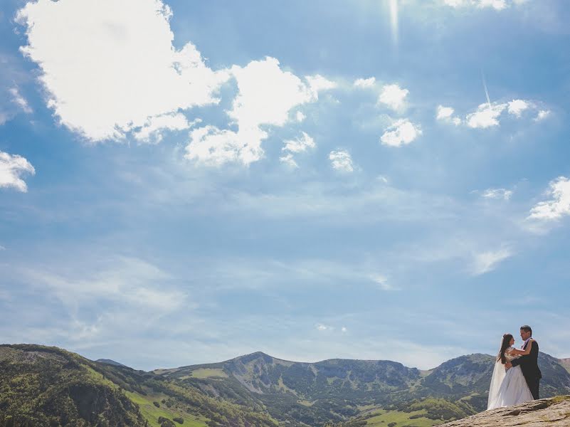 Photographe de mariage Foto Pavlović (mirnapavlovic). Photo du 1 août 2017