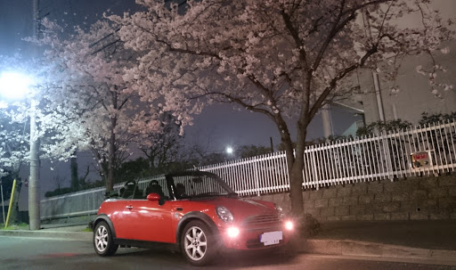 nick-exsmさんのMINI Convertibleの画像