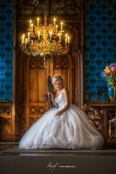 Fotógrafo de casamento David Rajecky (rajecky). Foto de 2 de julho 2017