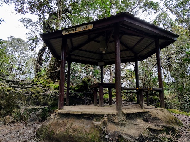 Mount Kinabalu Checkpoint