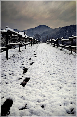 Ricordi nella neve di KikkaFlame