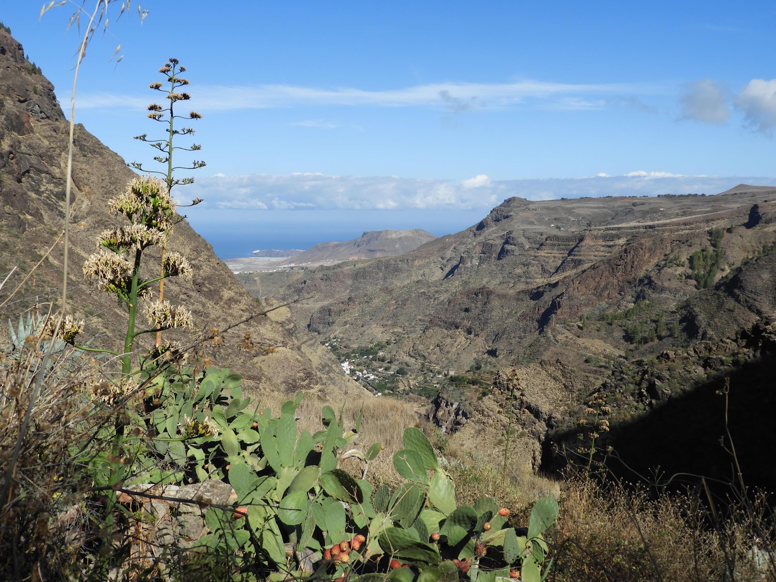 El Sao - El Hornillo, Gran Canaria