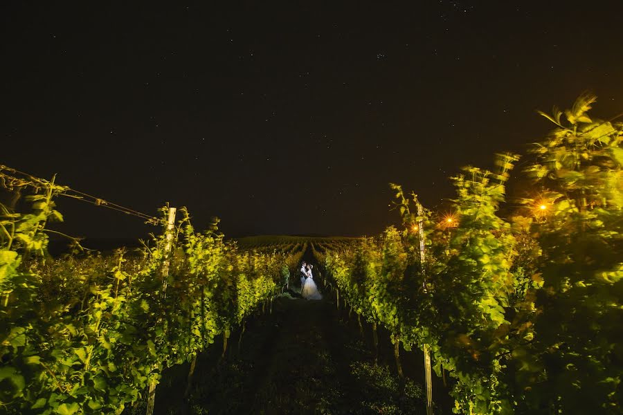 Svatební fotograf Torin Zanette (torinzanette). Fotografie z 1.června 2017