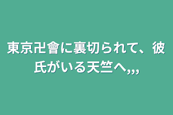 東京卍會に裏切られて、彼氏がいる天竺へ,,,