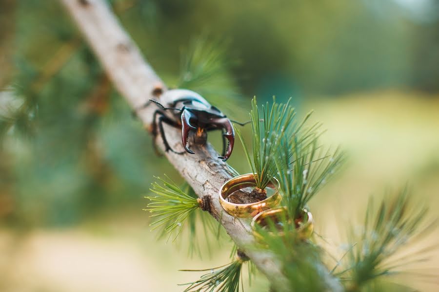 Fotógrafo de casamento Anna Vinokurova (anutik). Foto de 18 de julho 2018