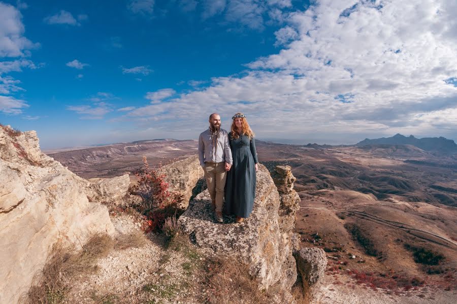 Wedding photographer Aleksey Efremov (efremovfoto). Photo of 12 November 2016