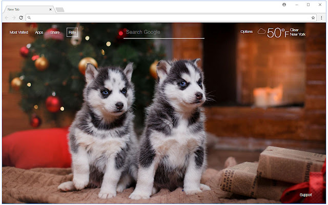 Christmas Puppies Kittens Hd New Tab Themes