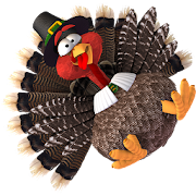 Chicken Invaders 4 ThanksgivHD  Icon