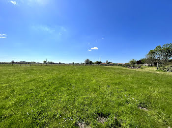 terrain à Blaye (33)