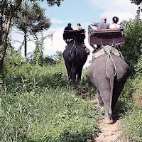 ElephanTAXI di 