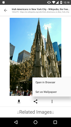 Screenshot ImageSearchMan - Image Search