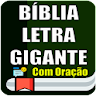 Bíblia Letra Gigante icon