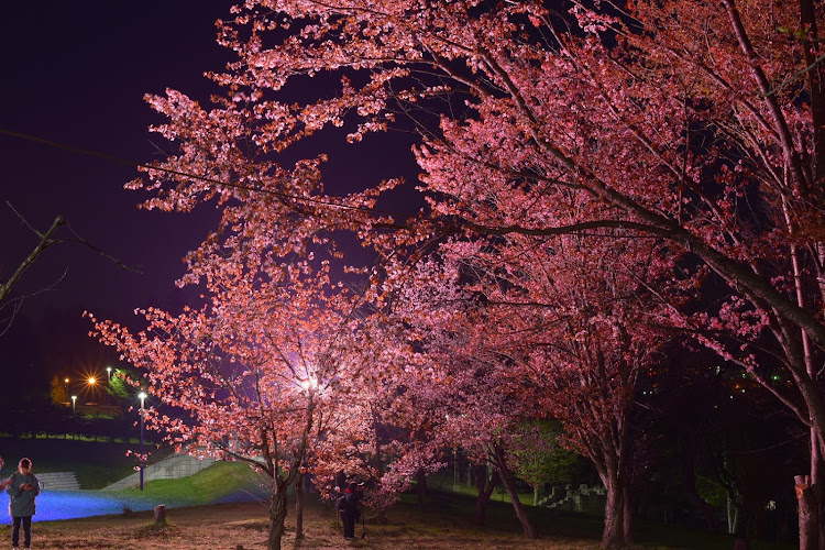 180SXのGWの思い出・Nikon・D750・カメ活📷・北海道に関するカスタム事例の投稿画像7枚目
