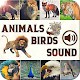 Download Animal & Bird Real Sounds For PC Windows and Mac