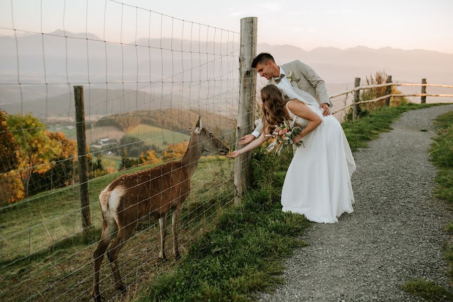 Hochzeitsfotograf Miroslava Pajić (miroslavawedd). Foto vom 14. November 2023