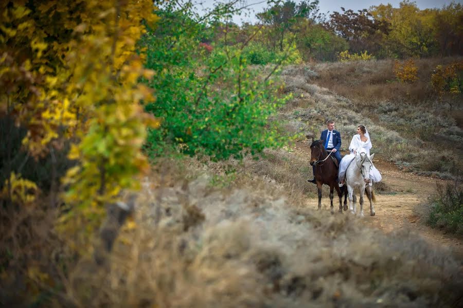 Photographe de mariage Andrey Kasatkin (avkasat). Photo du 1 février 2016