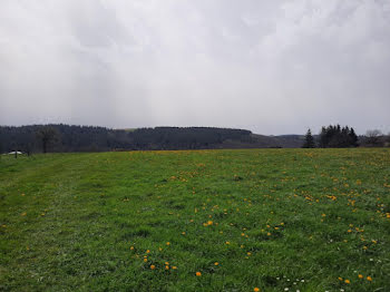 terrain à Arpajon-sur-Cère (15)