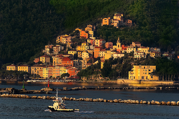  Marina del Fezzano mattina di paolo1954