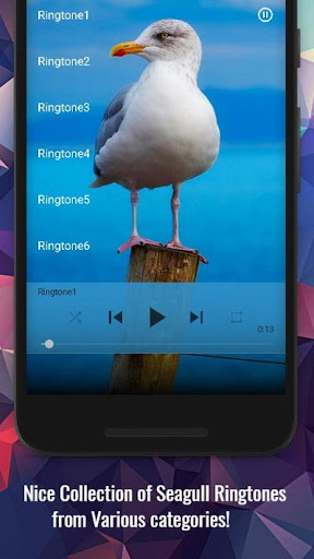 Seagull Ringtones