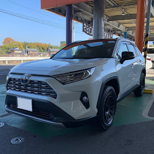 RAV4 AXAH54