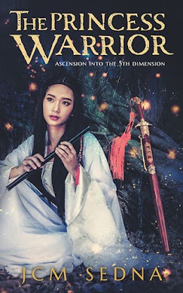 The Princess Warrior cover