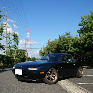 ロードスター NA8C