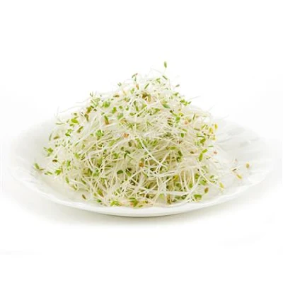 Sprouts Alfalfa - Exotic - 100 gm