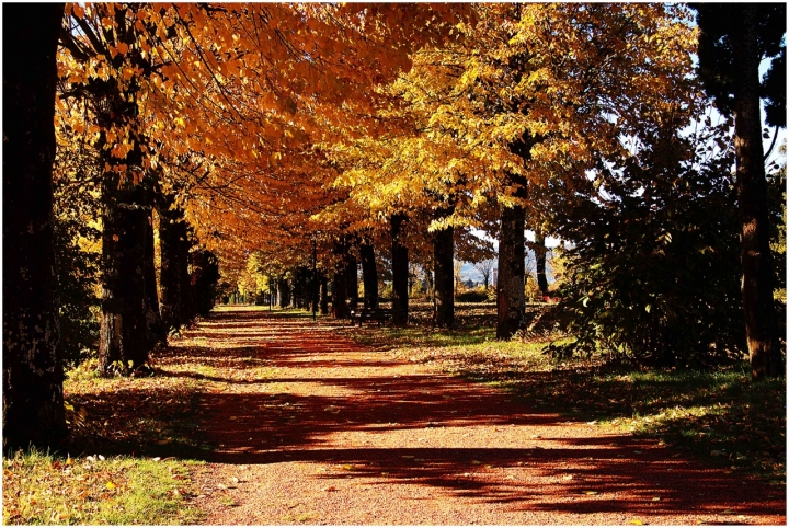 Autunno di Marco Giovannini