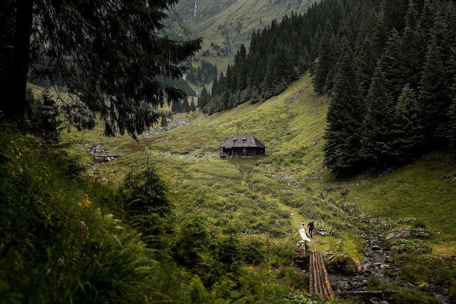 Kāzu fotogrāfs Alin Pirvu (alinpirvu). Fotogrāfija: 10. janvāris 2018