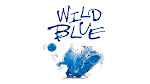 Anheuser-Busch Wild Blue Blueberry Lager