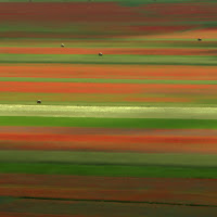 Castelluccio di 